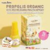 [โค้ดหน้าร้า] โพรโพลิสเด็ก สเปรย์ Master Rabbit Propolis